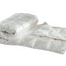 Одеяло 2-спальное (евро) пуховое Primavelle Angelo легкое 200x220